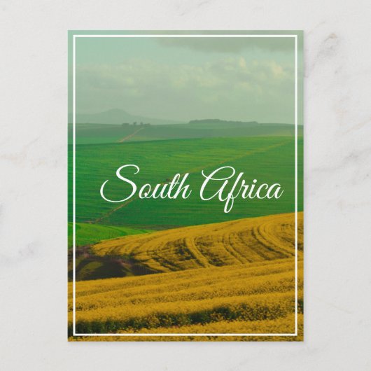 Zuid-Afrika Canola Fields Hills Landscape Natuur Briefkaart (Voorkant)