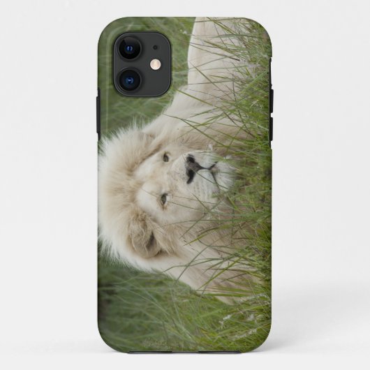 Zuid-Afrika, East London, Inkwenkwezi Private Case-Mate iPhone Case (Achterkant)