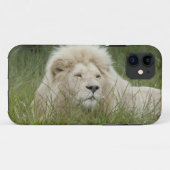 Zuid-Afrika, East London, Inkwenkwezi Private Case-Mate iPhone Case (Achterkant (horizontaal))
