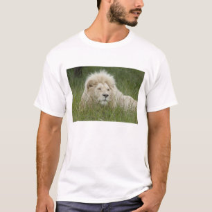 Zuid-Afrika, East London, Inkwenkwezi Private T-shirt