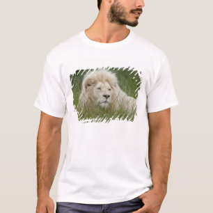 Zuid-Afrika, East London, Inkwenkwezi Private T-shirt