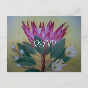 Zuid-Afrika Giant Protea Wedding RSVP met foto Uitnodiging Briefkaart
