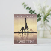 Zuid-Afrika, Giraffe, vintage reis Briefkaart (Staand voorkant)