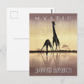 Zuid-Afrika, Giraffe, vintage reis Briefkaart (Voorkant / Achterkant)