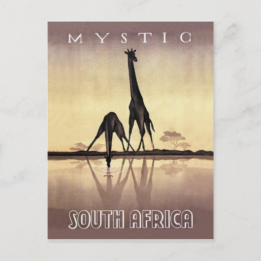 Zuid-Afrika, Giraffe, vintage reis Briefkaart (Voorkant)