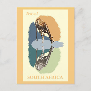  Zuid-Afrika Giraffe Wildlife Animal Briefkaart