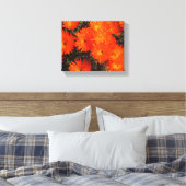 Zuid-Afrika Groen Oranje Succulent Flowers Canvas Afdruk (Insitu (Slaapkamer))