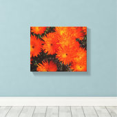 Zuid-Afrika Groen Oranje Succulent Flowers Canvas Afdruk (Insitu (Houten vloer))