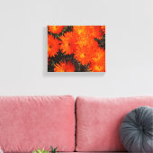 Zuid-Afrika Groen Oranje Succulent Flowers Canvas Afdruk (Insitu (Woonkamer))