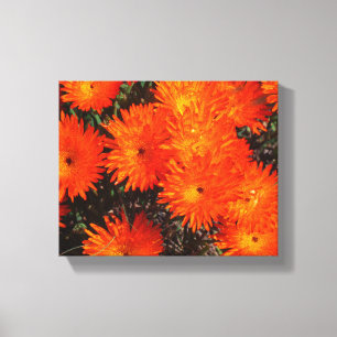 Zuid-Afrika Groen Oranje Succulent Flowers Canvas Afdruk
