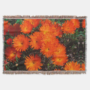 Zuid-Afrika Groen Oranje Succulent Flowers Deken