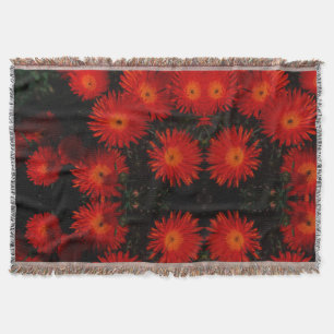 Zuid-Afrika Groen Oranje Succulent Flowers Deken