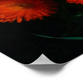 Zuid-Afrika Groen Oranje Succulent Flowers Poster (Hoek)