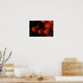 Zuid-Afrika Groen Oranje Succulent Flowers Poster (Keuken)