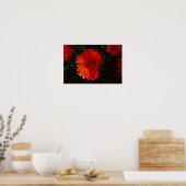 Zuid-Afrika Groen Oranje Succulent Flowers Poster (Keuken)