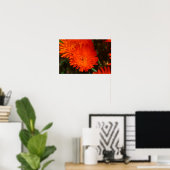 Zuid-Afrika Groen Oranje Succulent Flowers Poster (Thuiskantoor)