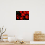Zuid-Afrika Groen Oranje Succulent Flowers Poster (Keuken)