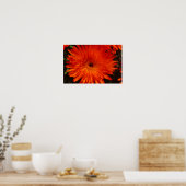 Zuid-Afrika Groen Oranje Succulent Flowers Poster (Keuken)