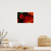 Zuid-Afrika Groen Oranje Succulent Flowers Poster (Keuken)