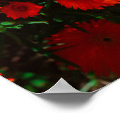 Zuid-Afrika Groen Oranje Succulent Flowers Poster (Hoek)