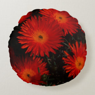 Zuid-Afrika Groen Oranje Succulent Flowers Rond Kussen