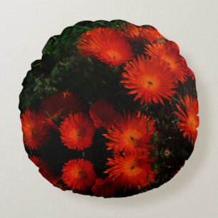Zuid-Afrika Groen Oranje Succulent Flowers Rond Kussen