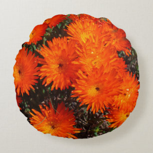 Zuid-Afrika Groen Oranje Succulent Flowers Rond Kussen