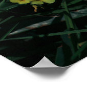 Zuid-Afrika Groene Gele Inheemse Bloemen Poster (Hoek)