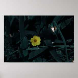 Zuid-Afrika Groene Gele Inheemse Bloemen Poster