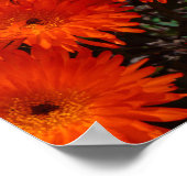 Zuid-Afrika Groene Oranje Succulente Bloemen Poster (Hoek)