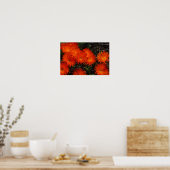 Zuid-Afrika Groene Oranje Succulente Bloemen Poster (Keuken)