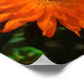 Zuid-Afrika Groene Oranje Succulente Bloemen Poster (Hoek)