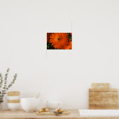 Zuid-Afrika Groene Oranje Succulente Bloemen Poster (Keuken)