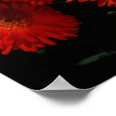 Zuid-Afrika Groene Oranje Succulente Bloemen Poster (Hoek)