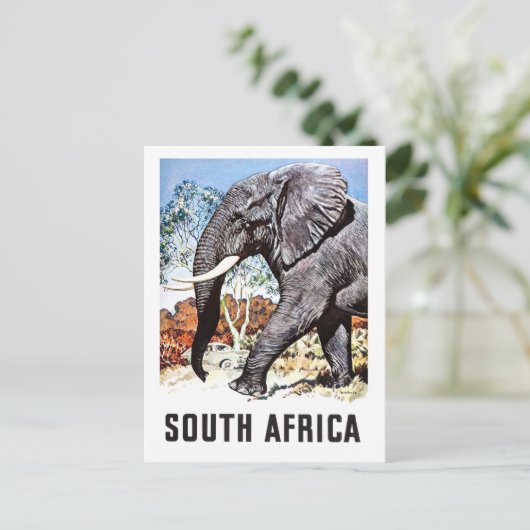 Zuid-Afrika, grote olifant, oud briefkaart (Staand voorkant)