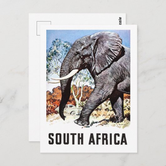 Zuid-Afrika, grote olifant, oud briefkaart (Voorkant / Achterkant)