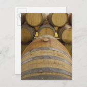 Zuid-Afrika, Kaapstad. Wijngebied met Stellenbosch Briefkaart (Voorkant / Achterkant)