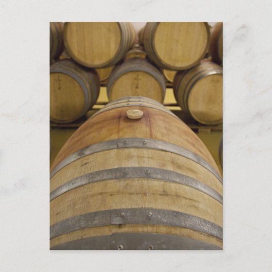 Zuid-Afrika, Kaapstad. Wijngebied met Stellenbosch Briefkaart (Voorkant)