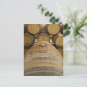 Zuid-Afrika, Kaapstad. Wijngebied met Stellenbosch Briefkaart (Staand voorkant)