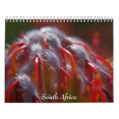 Zuid-Afrika Kalender (Hoes)
