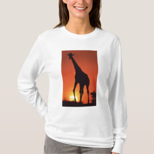 Zuid-Afrika, Kruger NP. Giraffe (Giraffa T-shirt
