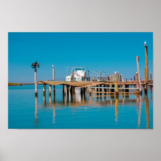 Zuid-Afrika Landschap Boat Birds Poster (Voorkant)