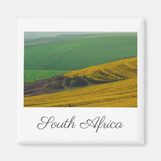 Zuid-Afrika landschap Canola Fields Magneet (Voorkant)