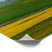 Zuid-Afrika landschap Canola Fields N7 Poster (Hoek)