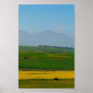 Zuid-Afrika landschap Canola Fields N7 Poster
