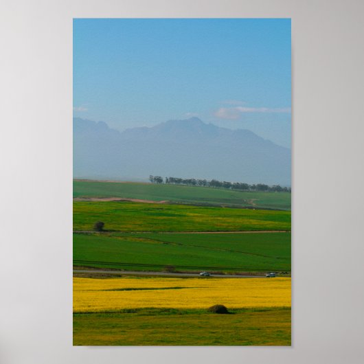 Zuid-Afrika landschap Canola Fields N7 Poster (Voorkant)