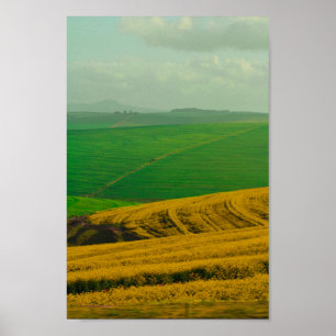 Zuid-Afrika landschap Canola Fields Poster