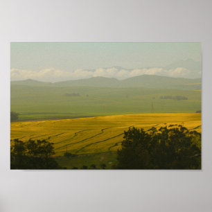 Zuid-Afrika Landschap Canola Fields Poster