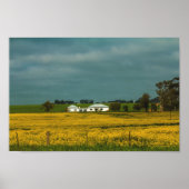 Zuid-Afrika Landschap Canola Fields Poster (Voorkant)