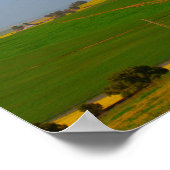 Zuid-Afrika Landschap Canola Fields Poster (Hoek)